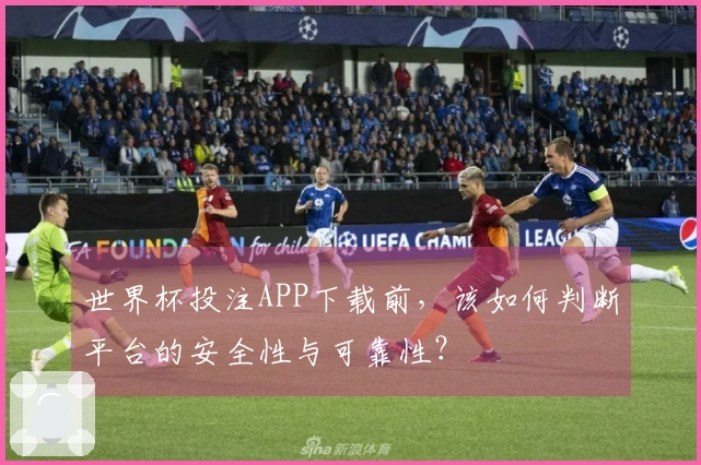 世界杯投注APP下载前，该如何判断平台的安全性与可靠性？