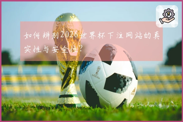 如何辨别2026世界杯下注网站的真实性与安全性？