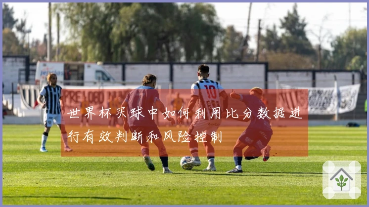 世界杯买球中如何利用比分数据进行有效判断和风险控制