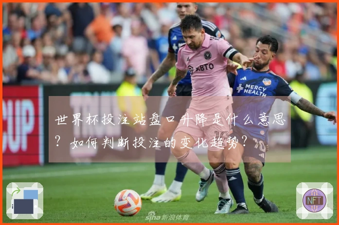 熊猫体育体育资讯图片