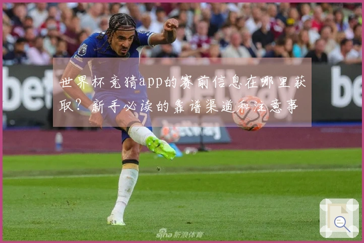 世界杯竞猜app的赛前信息在哪里获取？新手必读的靠谱渠道和注意事项